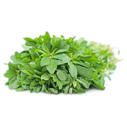 Methi